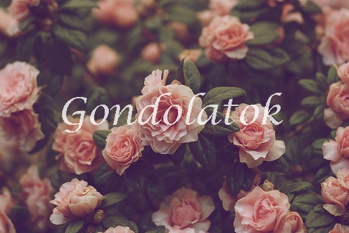 a.gondolatok